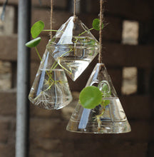 Glass Hanging Terrariums