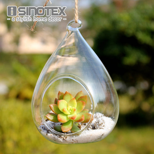 Waterdrop Hanging Micro Landscape Terrarium