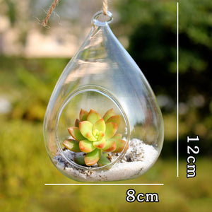 Waterdrop Hanging Micro Landscape Terrarium