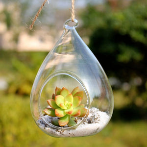 Waterdrop Hanging Micro Landscape Terrarium