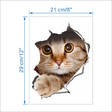 Cat Look Hole Toilet Decal