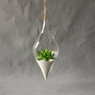 Hanging Glass Vase Micro Landscape Terrarium