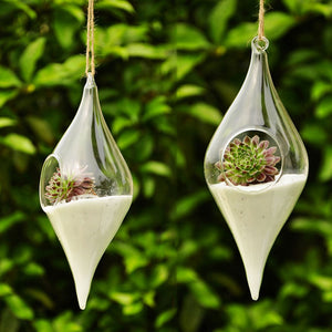 Hanging Glass Vase Micro Landscape Terrarium