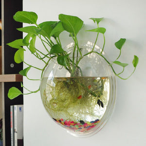 Hanging Wall Aquarium